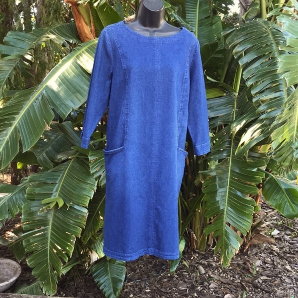 J Jill denim tunic or column dress